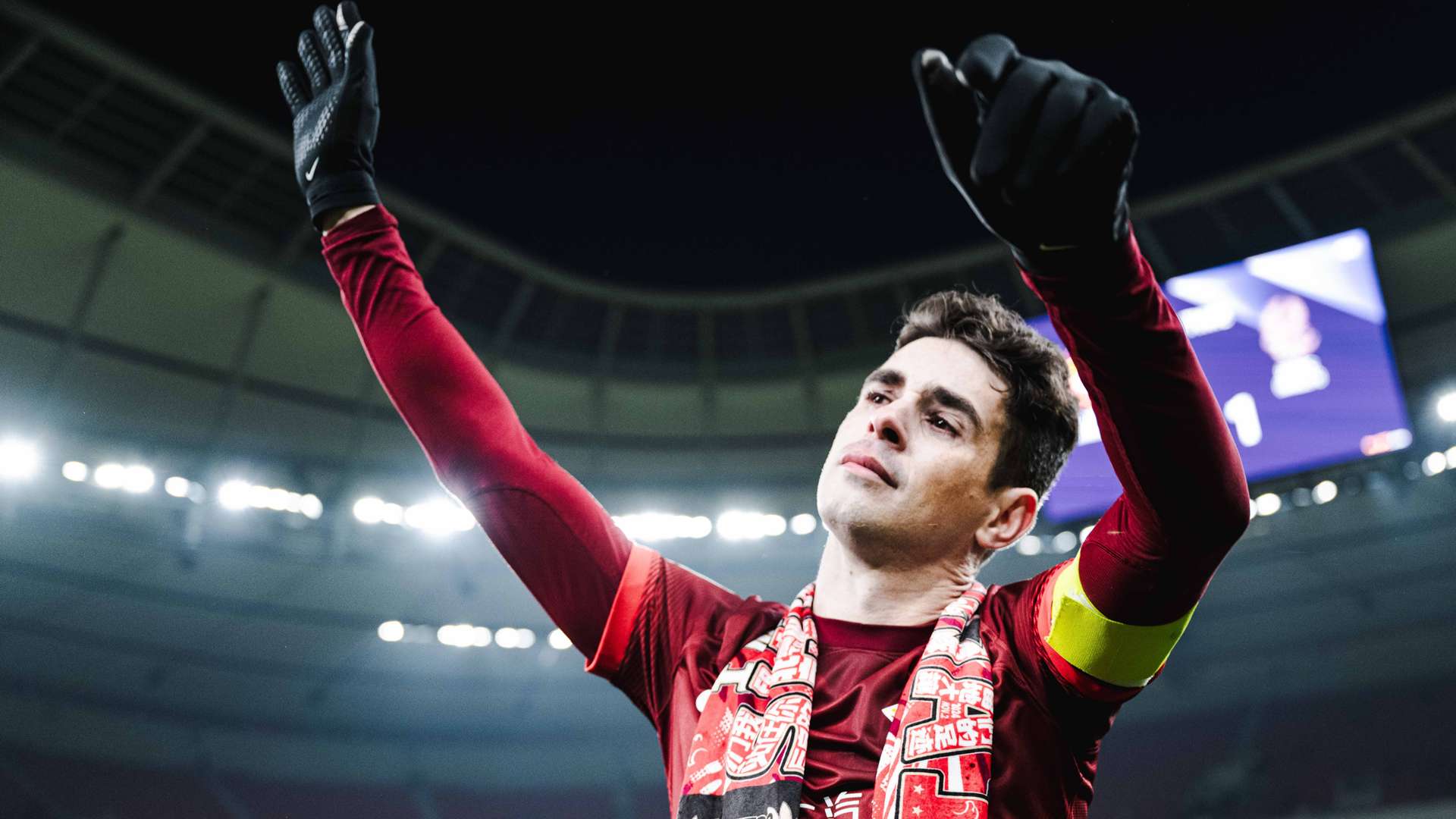 仅反映了马 仅反映了马