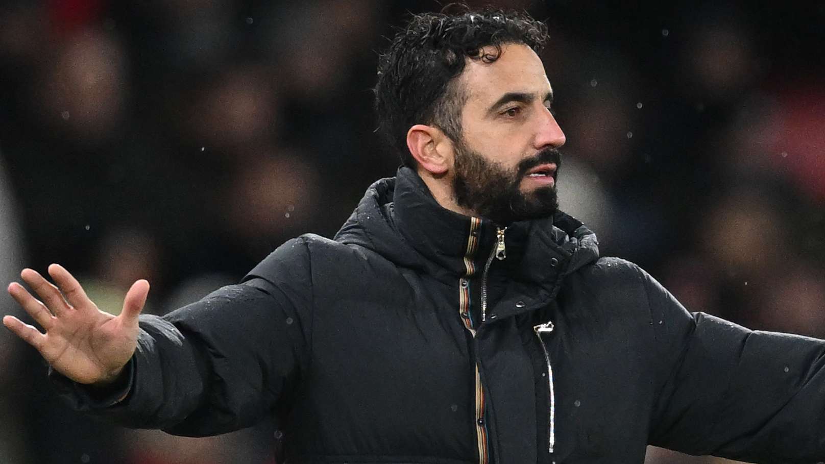 令人目不暇 令人目不暇