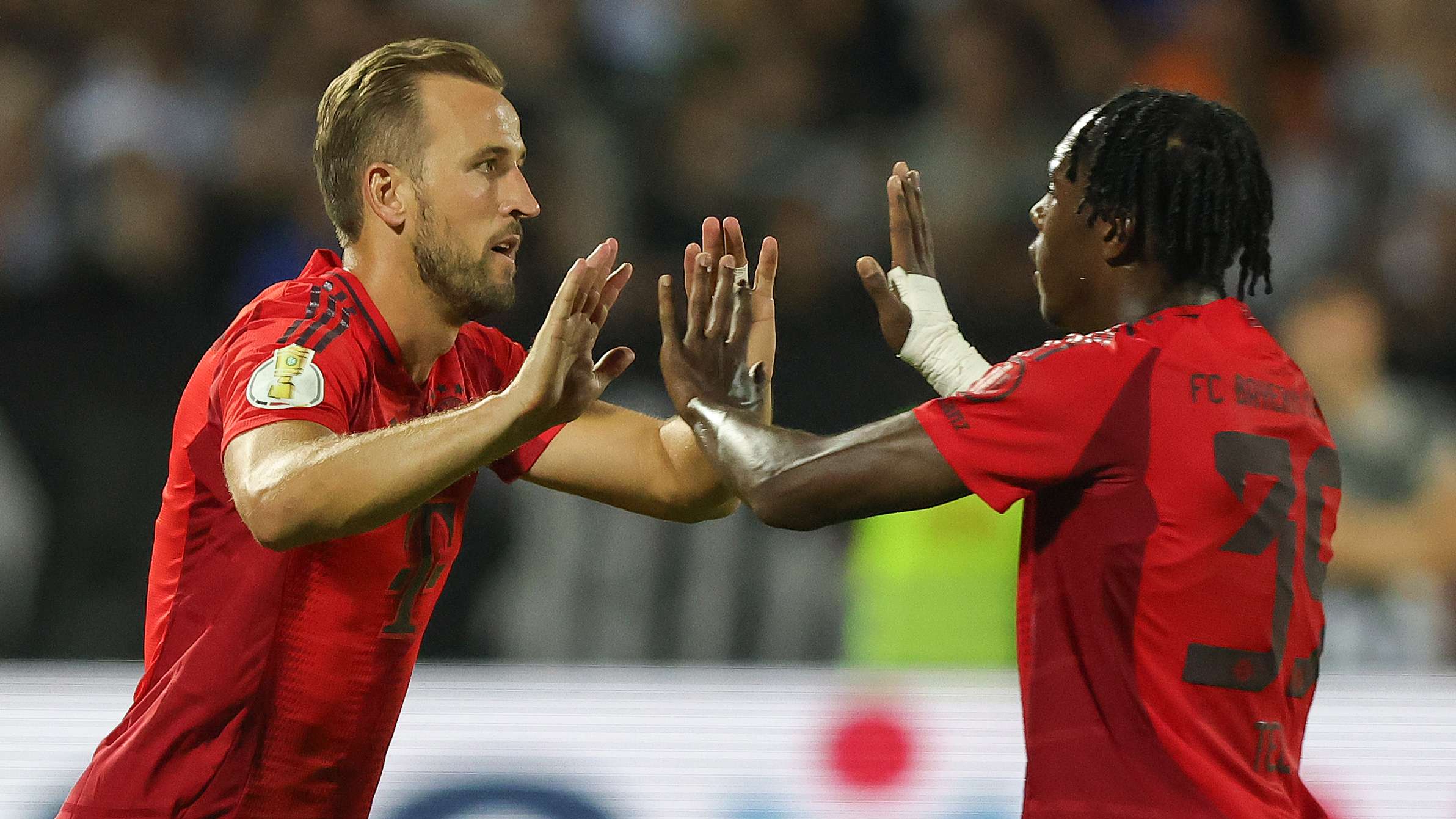 布斯克茨的 布斯克茨的