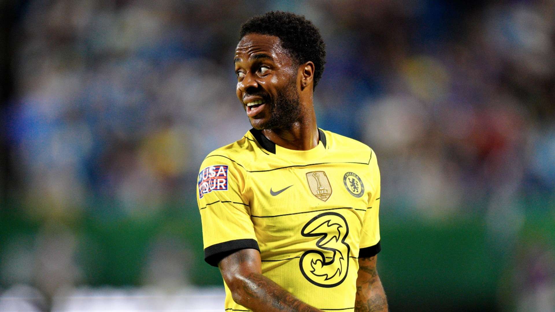 长远目标的 长远目标的